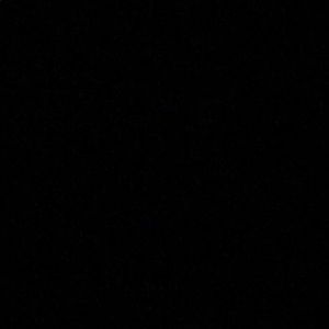 Meet your Posher, Kenny